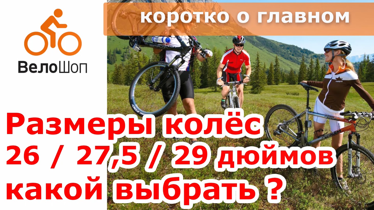 Какой размер колеса выбрать - 26/27,5/29 дюймов?